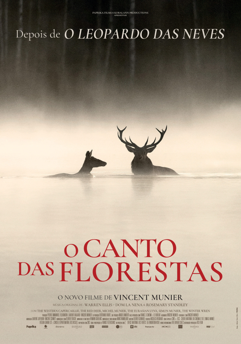 Poster for O Canto das Florestas